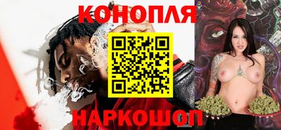 крисы Гудермес
