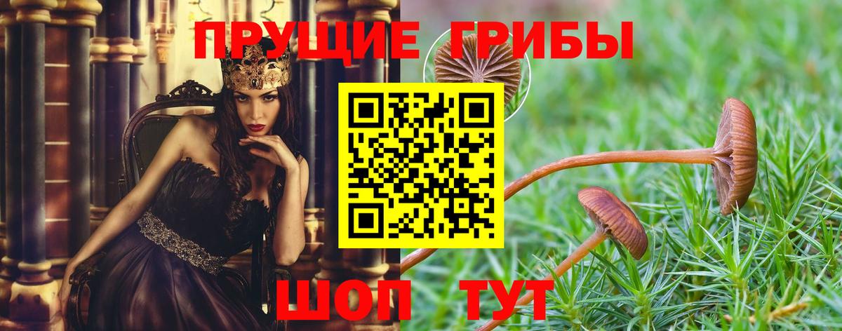 Галлюциногенные грибы мухоморы Полевской